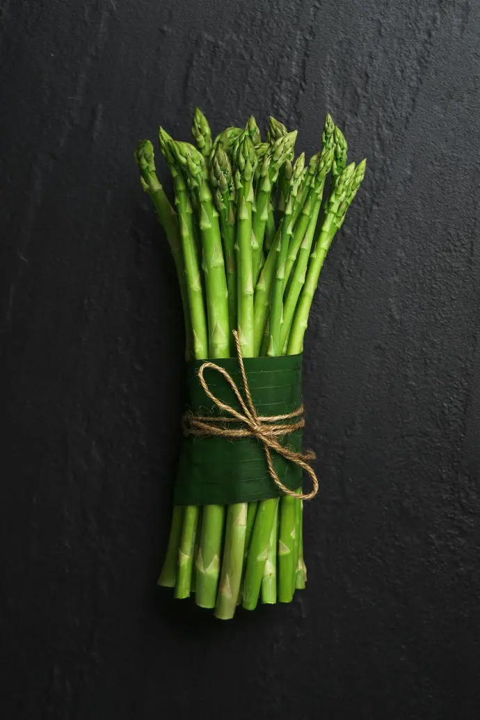 green and brown plant on black textile